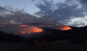 Φωτιά στη Λάρισα: Τι Συμβαίνει Τώρα