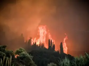 Φωτιές Live: Η Κατάσταση σε Πραγματικό Χρόνο
