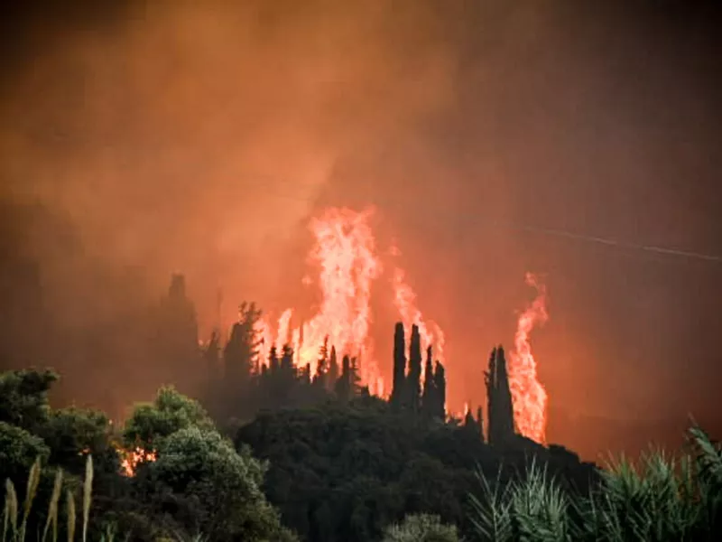 Φωτιές Live: Η Κατάσταση σε Πραγματικό Χρόνο