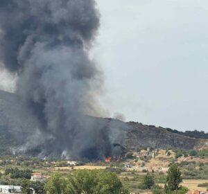 Φωτιά Χορτιάτης: Πληροφορίες και Επιπτώσεις