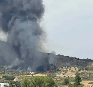 Φωτιά Χορτιάτης: Πληροφορίες και Επιπτώσεις