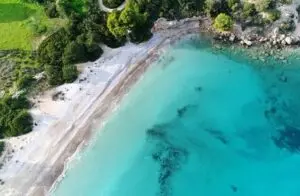 Κουνούπι Αργολίδας: Κίνδυνοι και Υγειονομικές Προκλήσεις