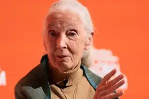 Τζέιν Γκουντάλ: Η Γυναίκα που Αλλαγή τη Σκέψη για τη Φύση