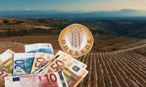 Πληρωμές ΟΠΕΚΕΠΕ: Όλα όσα πρέπει να γνωρίζετε