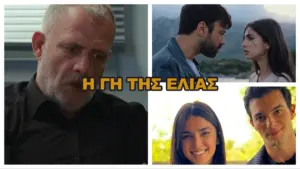 Η Γη της Ελιάς: Μια Έρευνα για την Πολιτιστική Κληρονομιά