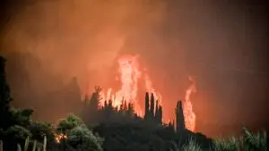 Ο Κεφαλογιάννης στην σύγχρονη πολιτική σκηνή