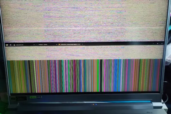 Η Ομορφιά και η Πολυπλοκότητα της Ζούγκλας