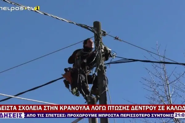 Κλειστά Σχολεία Αύριο: Τι Πρέπει να Γνωρίζετε