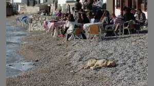 Ζήστε τις Τρέχουσες Καιρικές Συνθήκες στην Bodrum