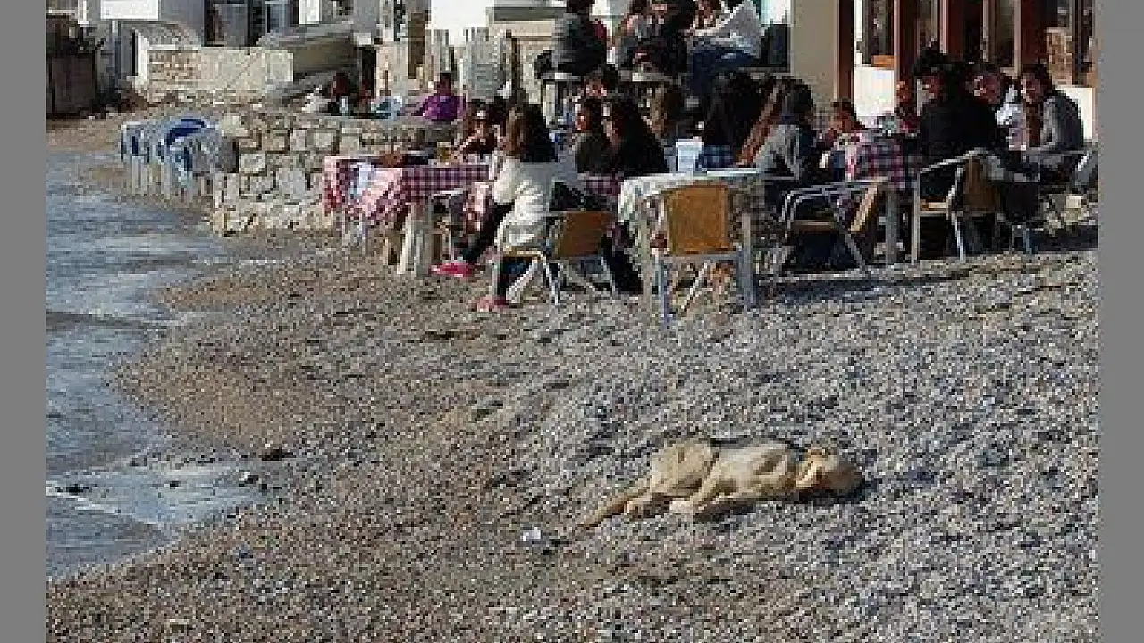 Ζήστε τις Τρέχουσες Καιρικές Συνθήκες στην Bodrum