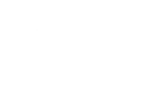 Η Ιστορία και η Σημασία του Long Island