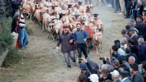 Σουδάν Κογιούν Γκεσιρμέ Φεστιβάλ: Πολιτιστική Γιορτή και Σύγχρονες Προκλήσεις