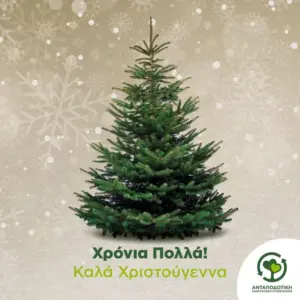 διευθυντήσ — GR news